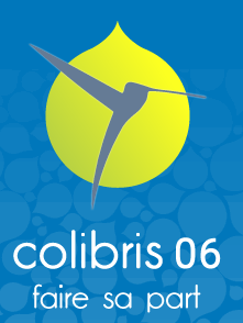 Colibris 06